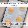 À Quoi Ressemble Le Sildénafil 50 Mg 24